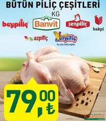 BÜTÜN PİLİÇ ÇEŞİTLERİ KG BÜTÜN PİLİÇ ÇEŞİTLERİ KG
